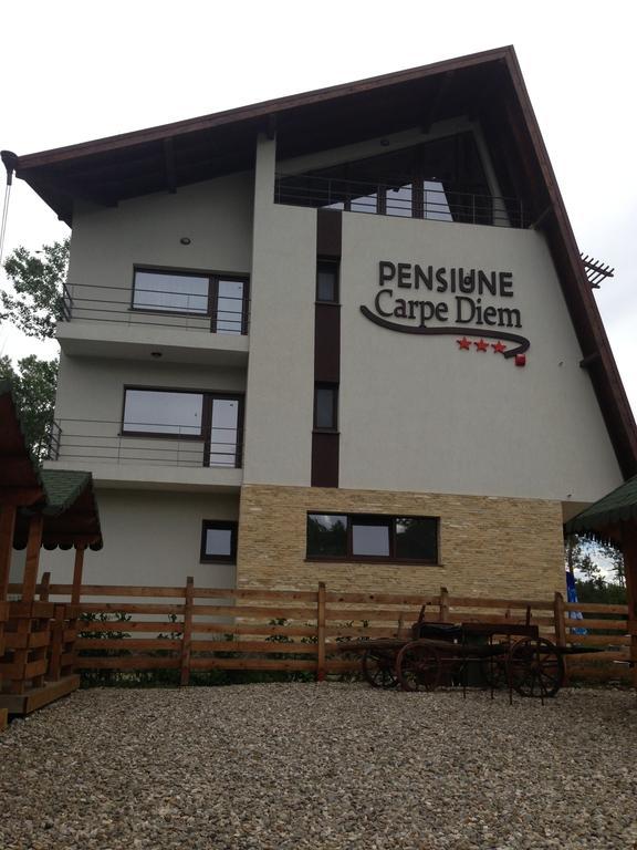 Pensiunea Carpe Diem Рымнику-Вылча Экстерьер фото